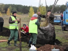 Мэрия начала посадки